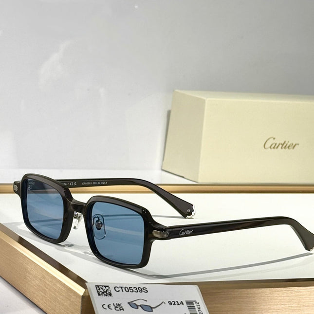 PREMIÈRE SQUARE FRAME SUNGLASSES CT0539S IN ACETATE