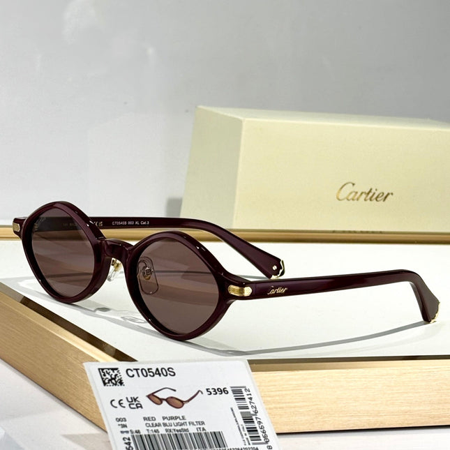 PREMIÈRE GEOMETRIC FRAME SUNGLASSES CT0540S IN ACETATE