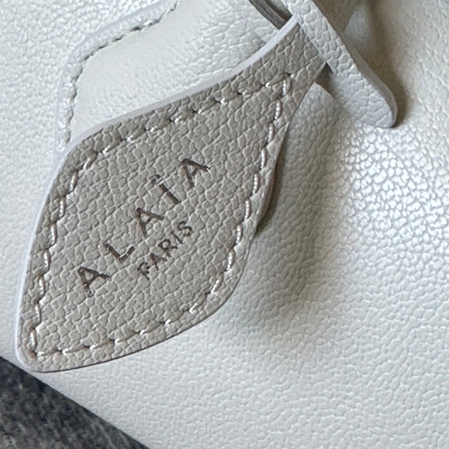 LE TECKEL MEDIUM BAG 32 IN PLATINUM GOATSKIN